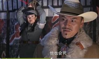 张子健大漠枪神