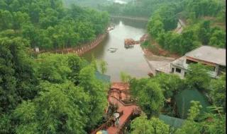 在你心之所向的地方