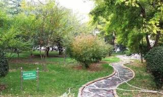 山西临汾师范大学