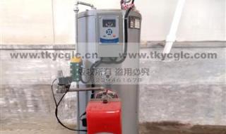 天然气燃气锅炉