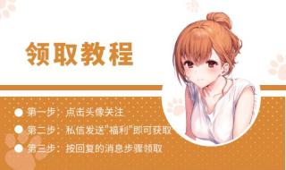 金装的维尔梅第二集