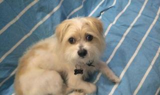 最令我感动的一件事