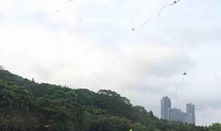 深圳莲花山公园