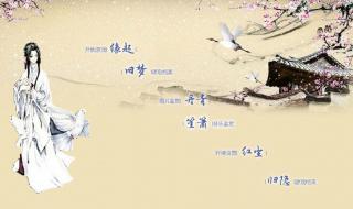 系统之宠妃[宠文]