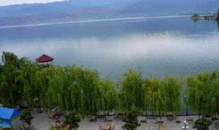 深圳观海湾大沙滩