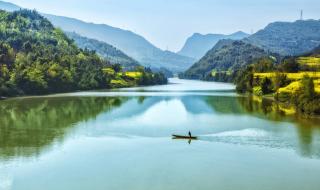 什么春来江水绿如蓝