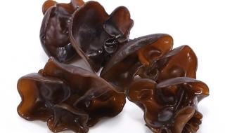 木耳的香气行家啊