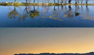 云南旅游团纯玩报价