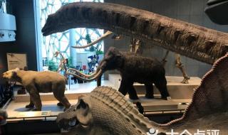 上海自然博物馆新馆