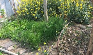 开垦妈妈肥沃的土地