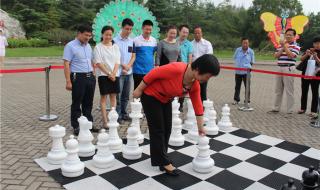 2016奥运会男女混双冠军